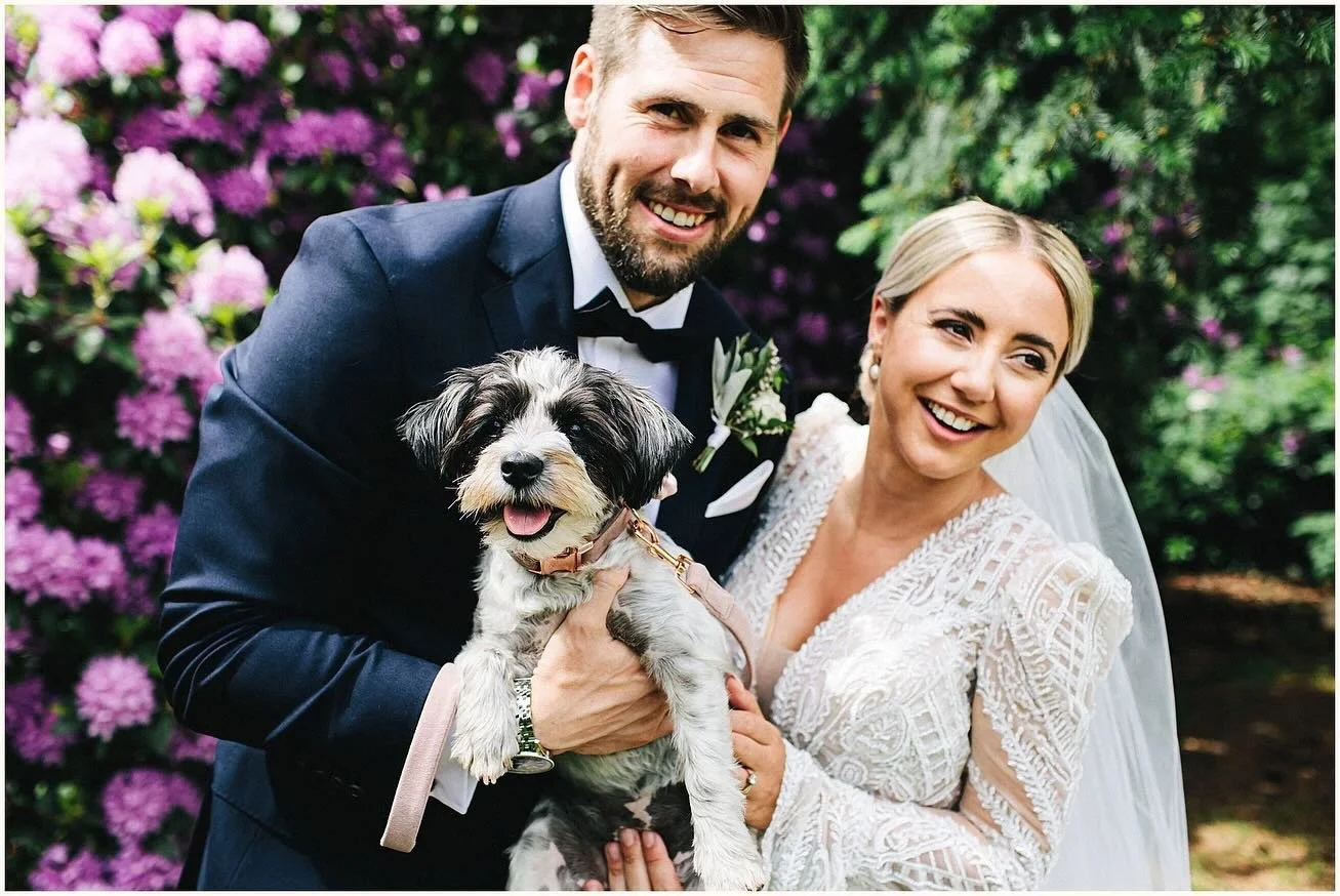 Dogs at weddings - because why not?! 🐾 ❤️

#dogsatweddings