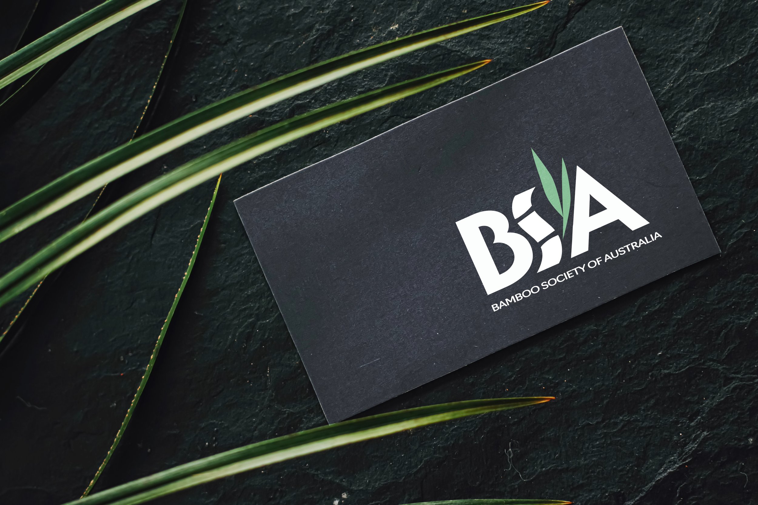 Bamboo Society of Australian
