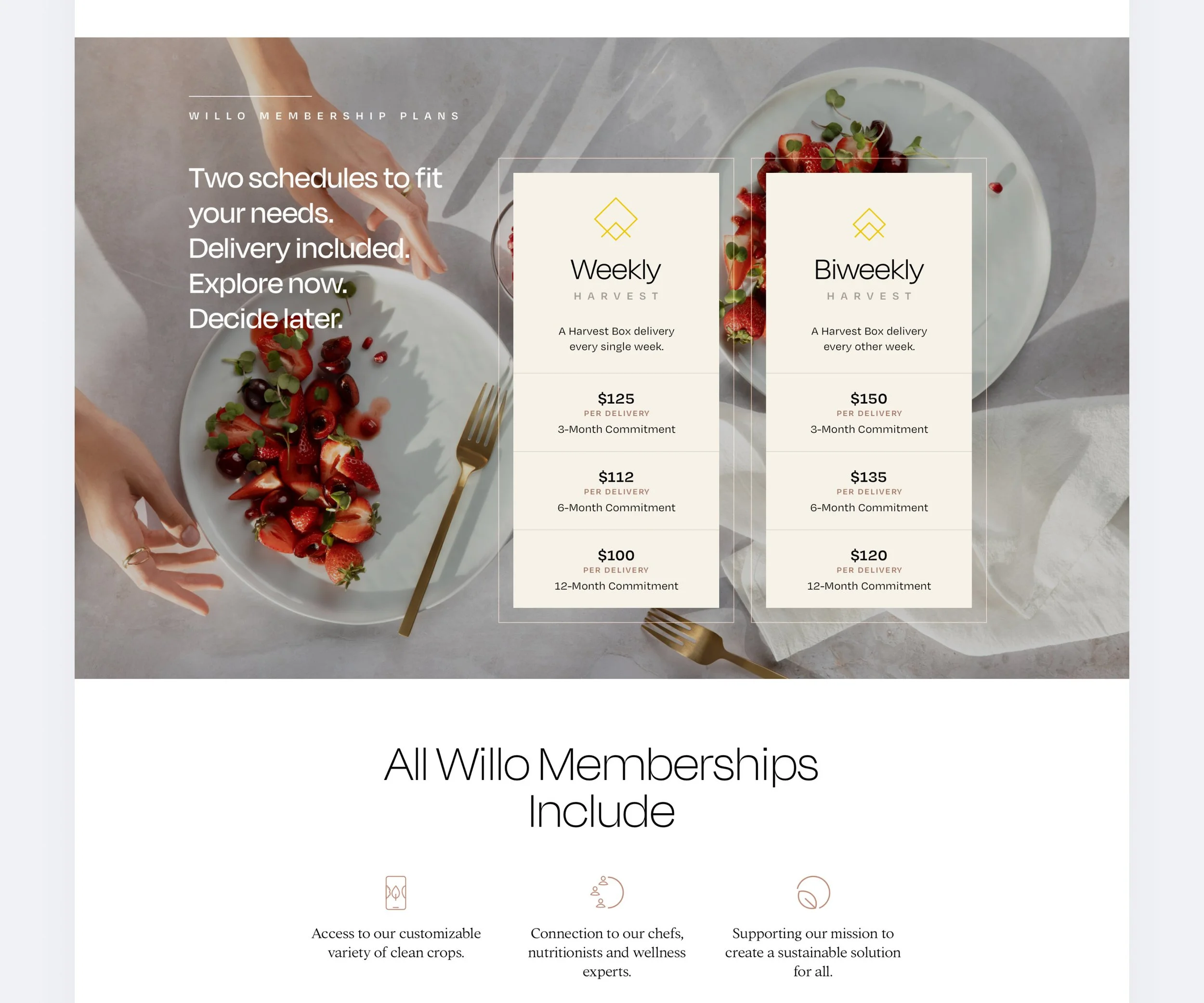 willo_site-membership-mid2-03@2x.jpg