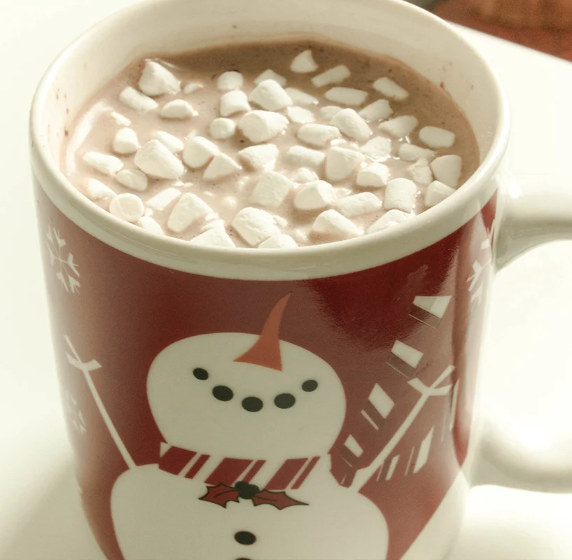 Hot chocolate. Yummy. Even Mr. Snowman is happy to see the marshmallows.