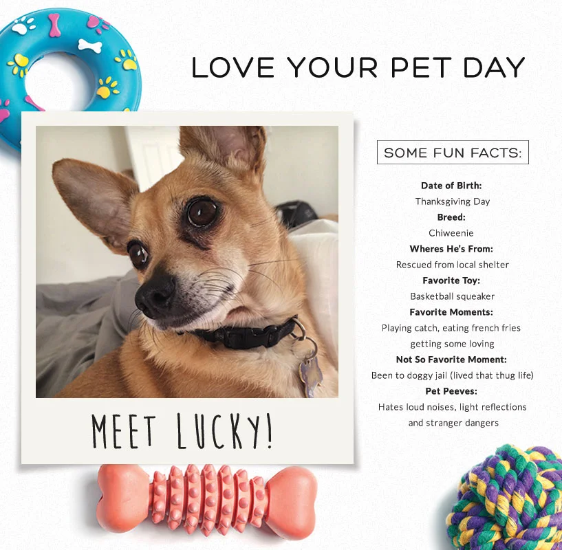 myeverydaylifestyle_petday7.jpg