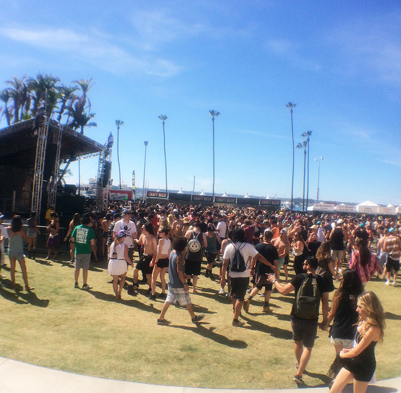 mel_crssd13.jpg