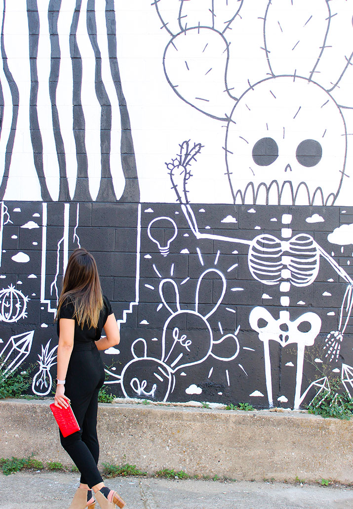 This fun graphic wall is located in Dallas Oak Cliff.