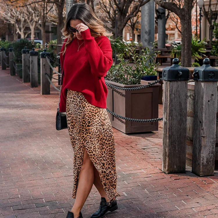MEL_Cheetah3.jpg