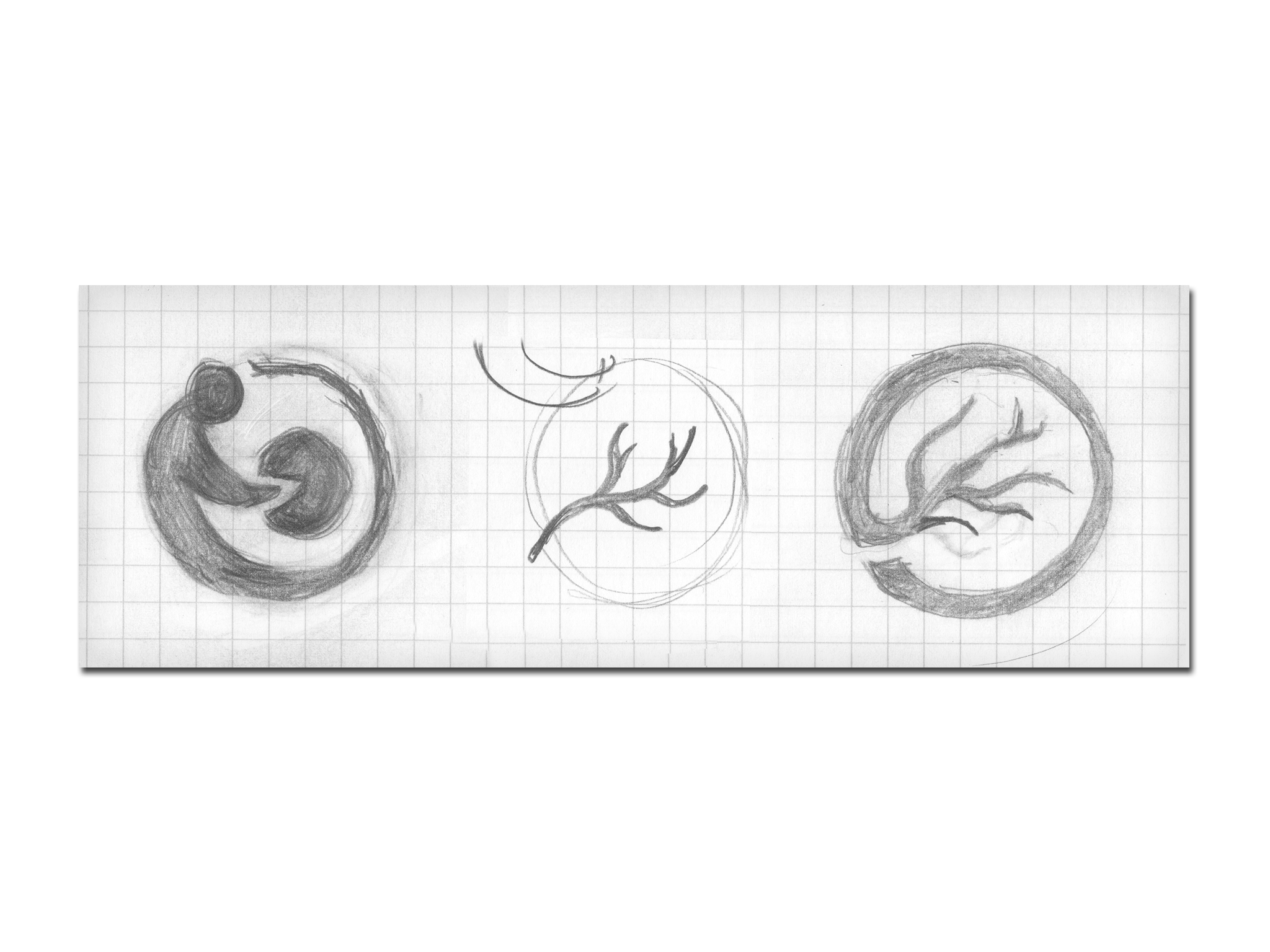 Portoflio_0041_Layer-Comp-42.png
