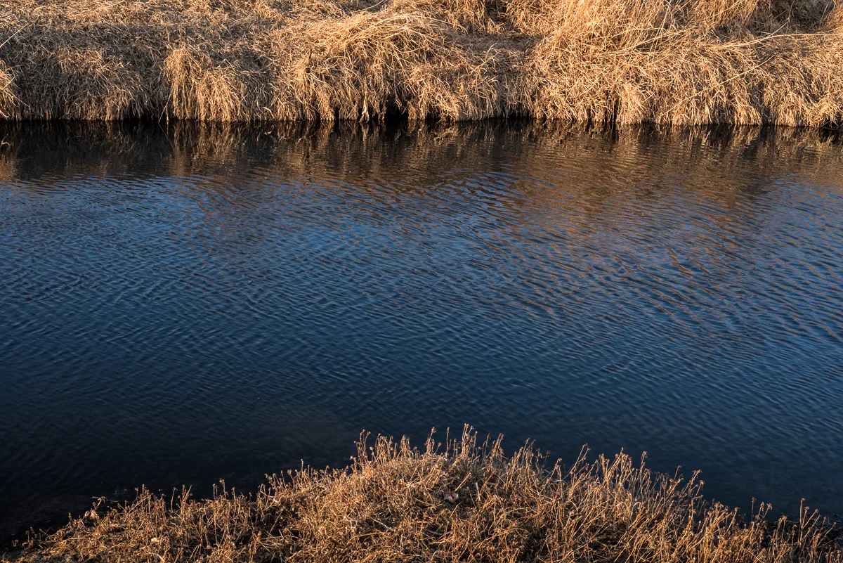 DSC_0821.jpg