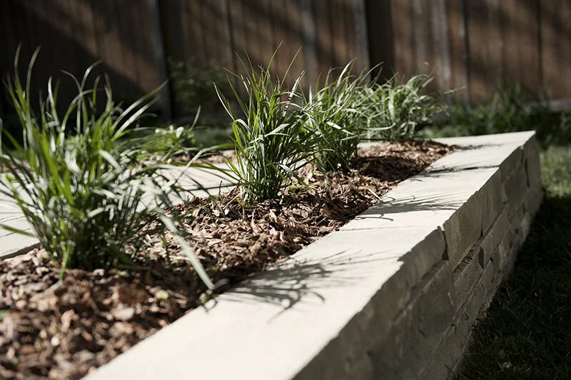 patio tease