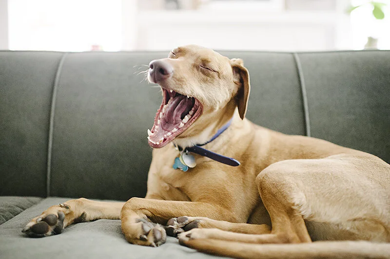 monday at the madhouse // holiday weekend