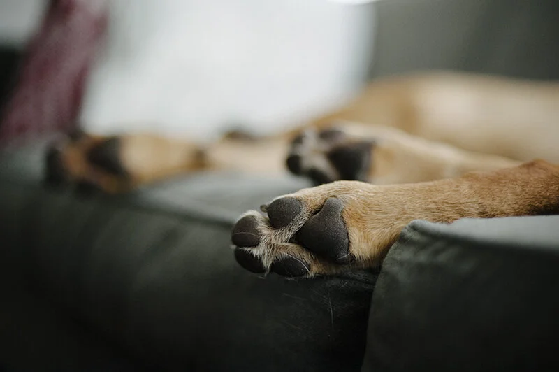 tired feet