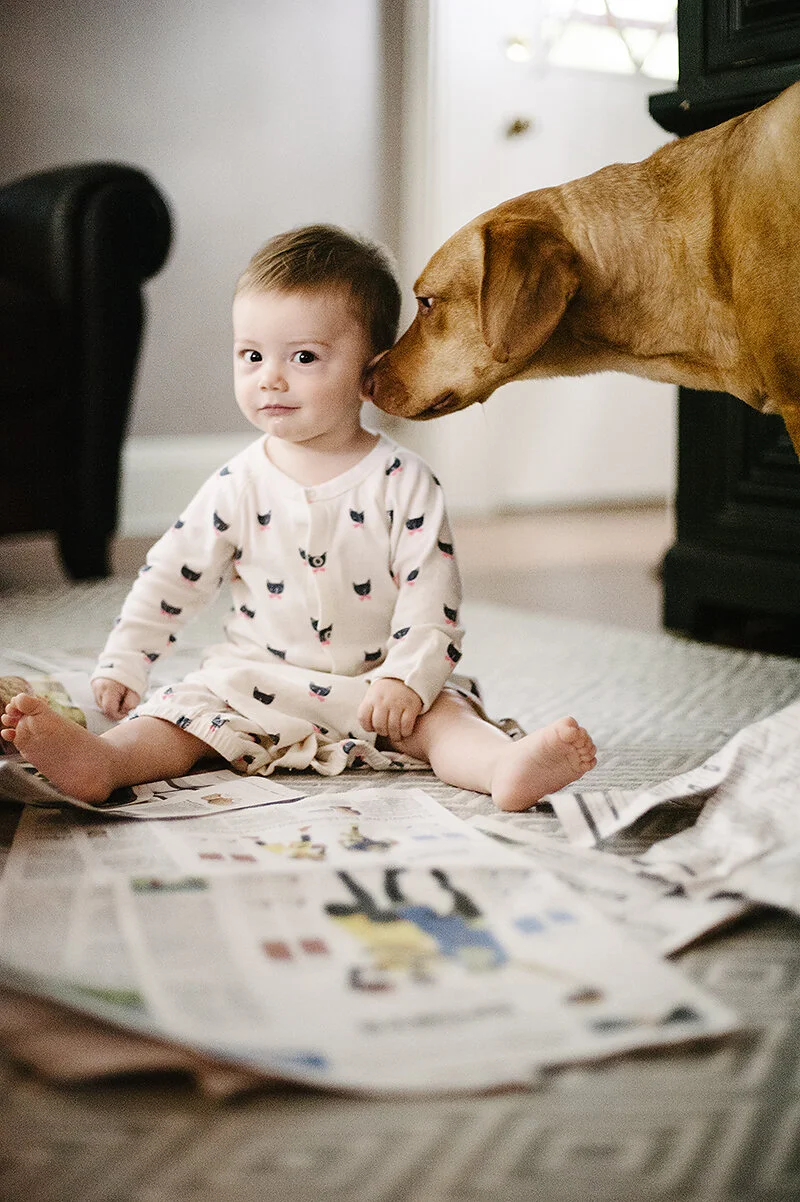 monday at the madhouse // baby's first fort