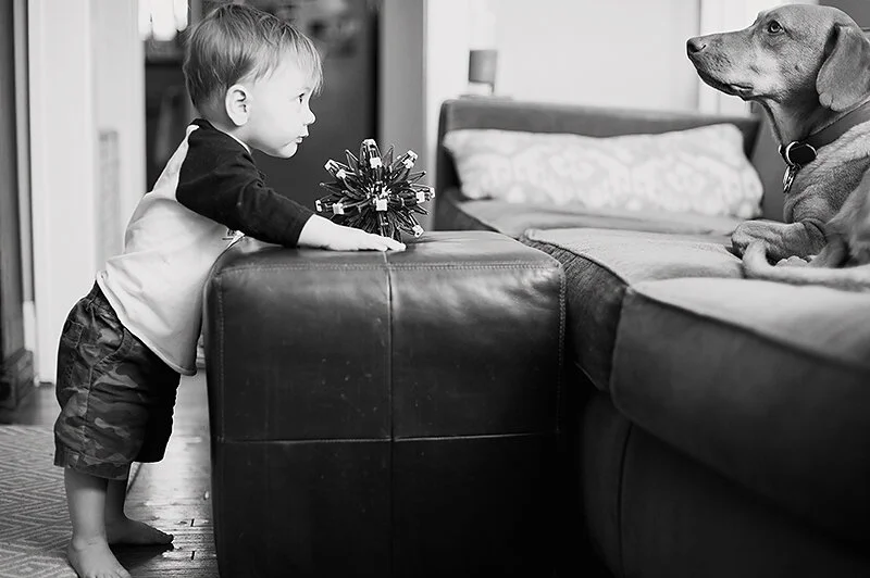 monday at the madhouse // hello little toddler