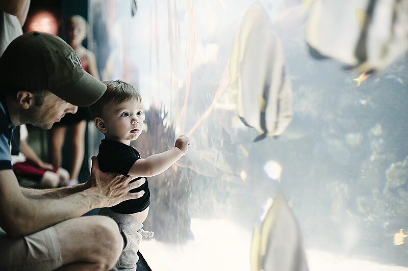 monday at the madhouse // a total zoo