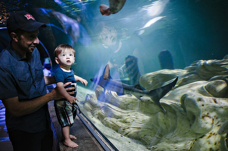 monday at the madhouse // holiday weekend