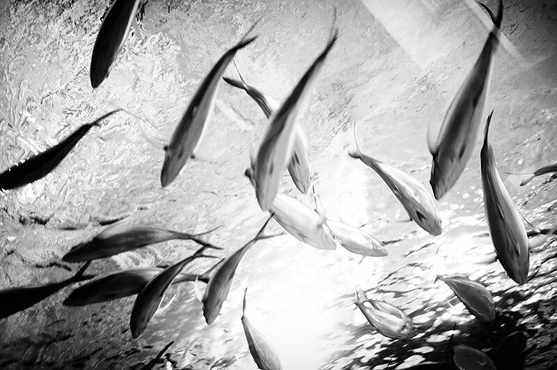 underwater with work
