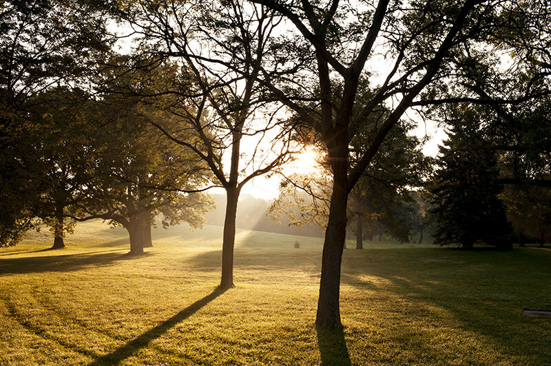 early bird gets the light