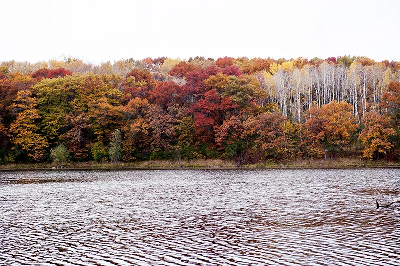 my favorite season