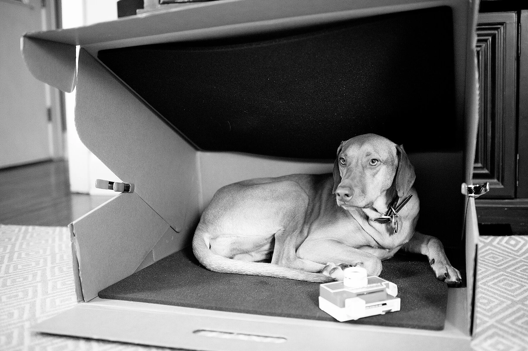 monday at the madhouse // a visit from bubie