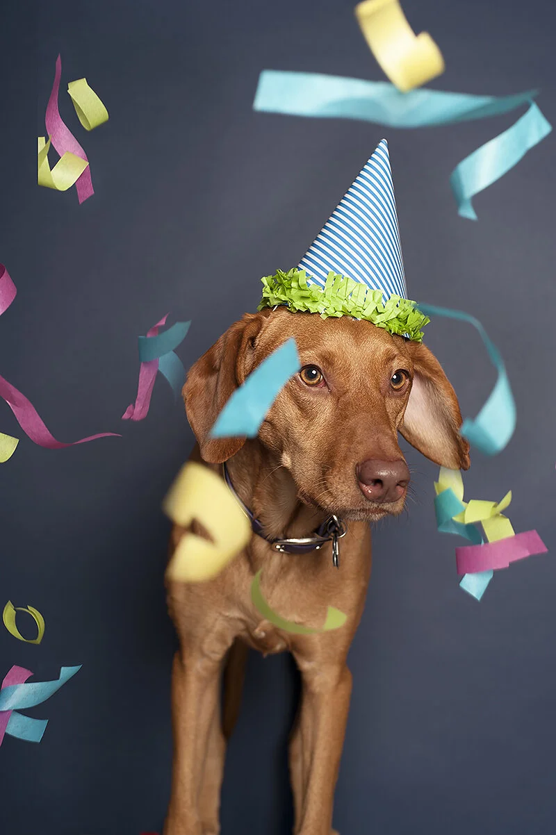 my little threenager