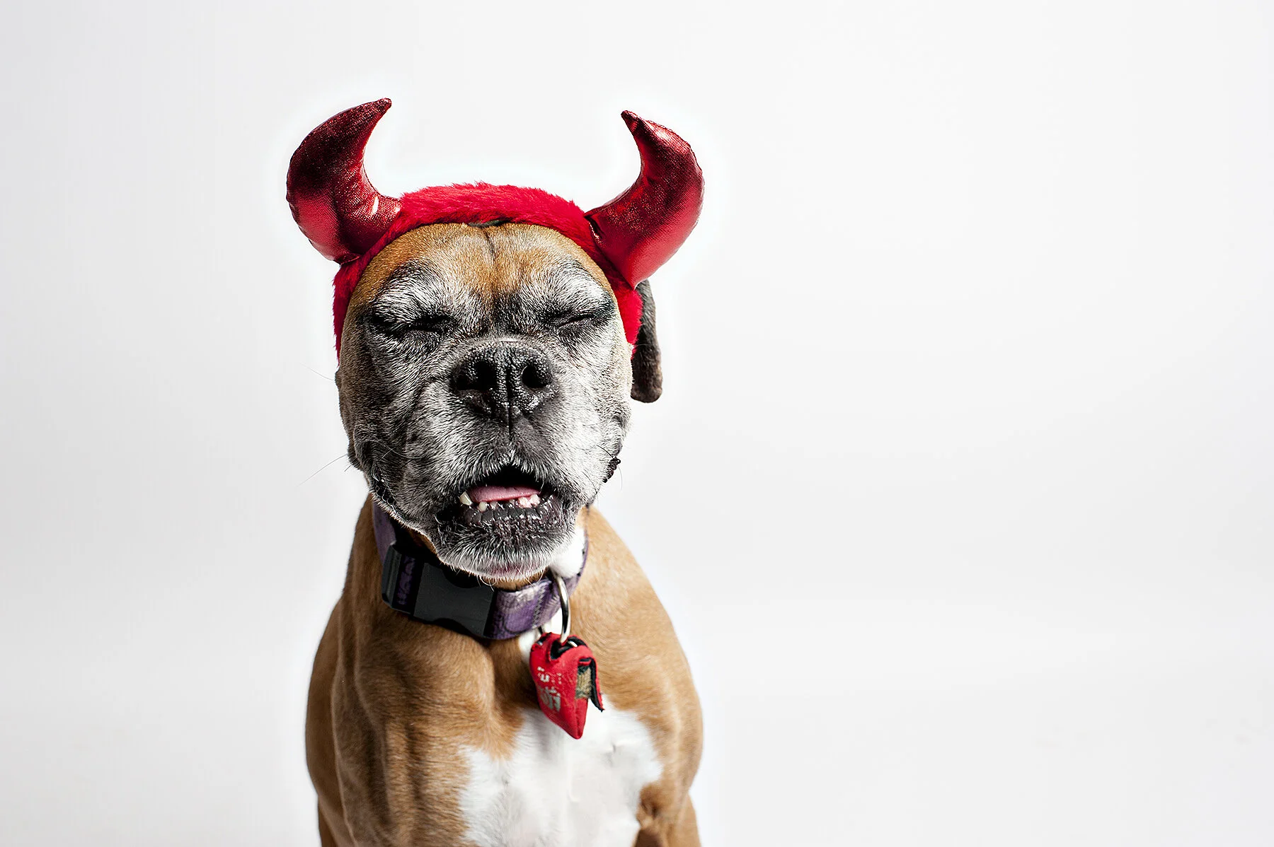 sweet little devil
