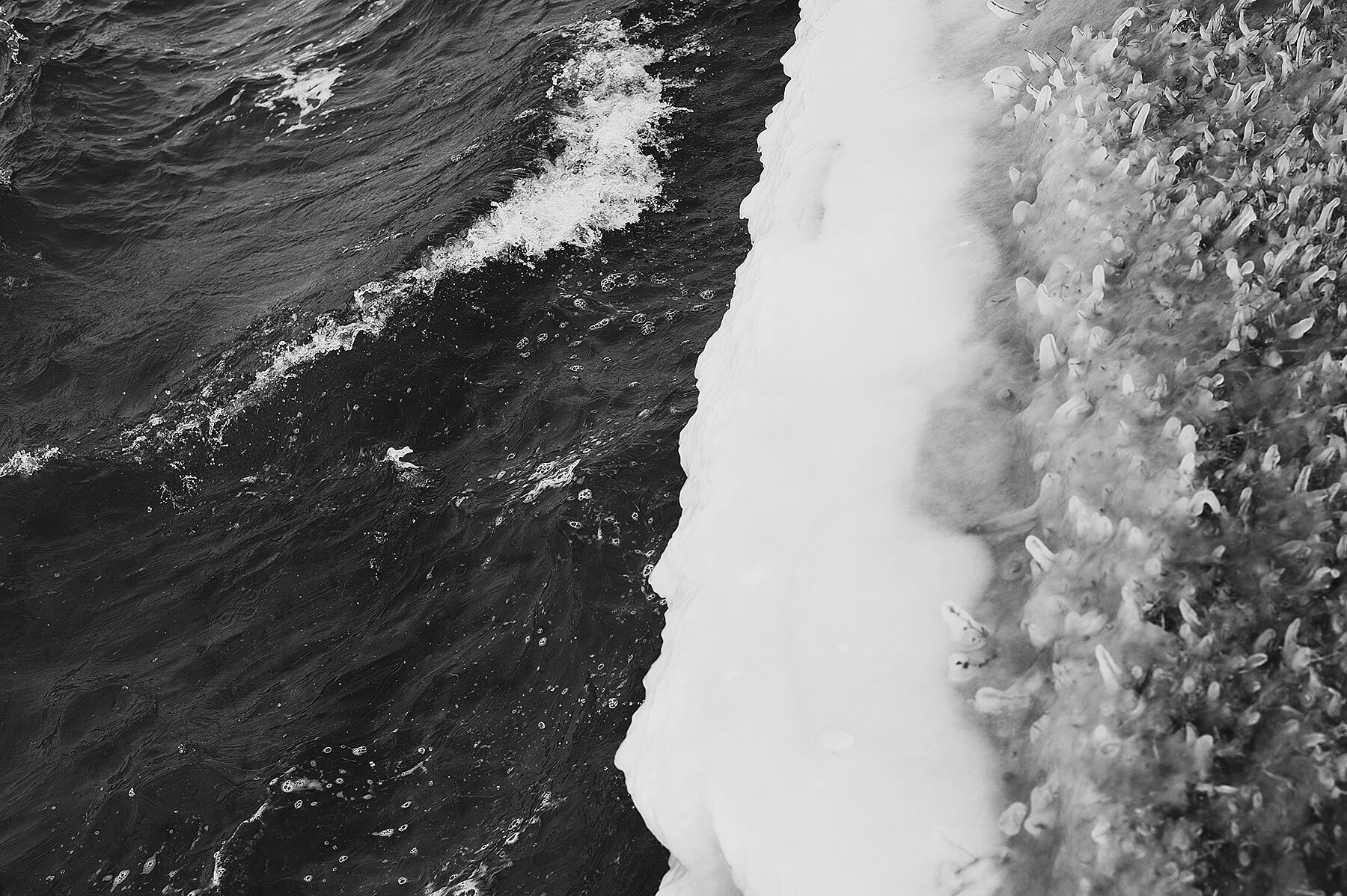 wonderland // a personal project