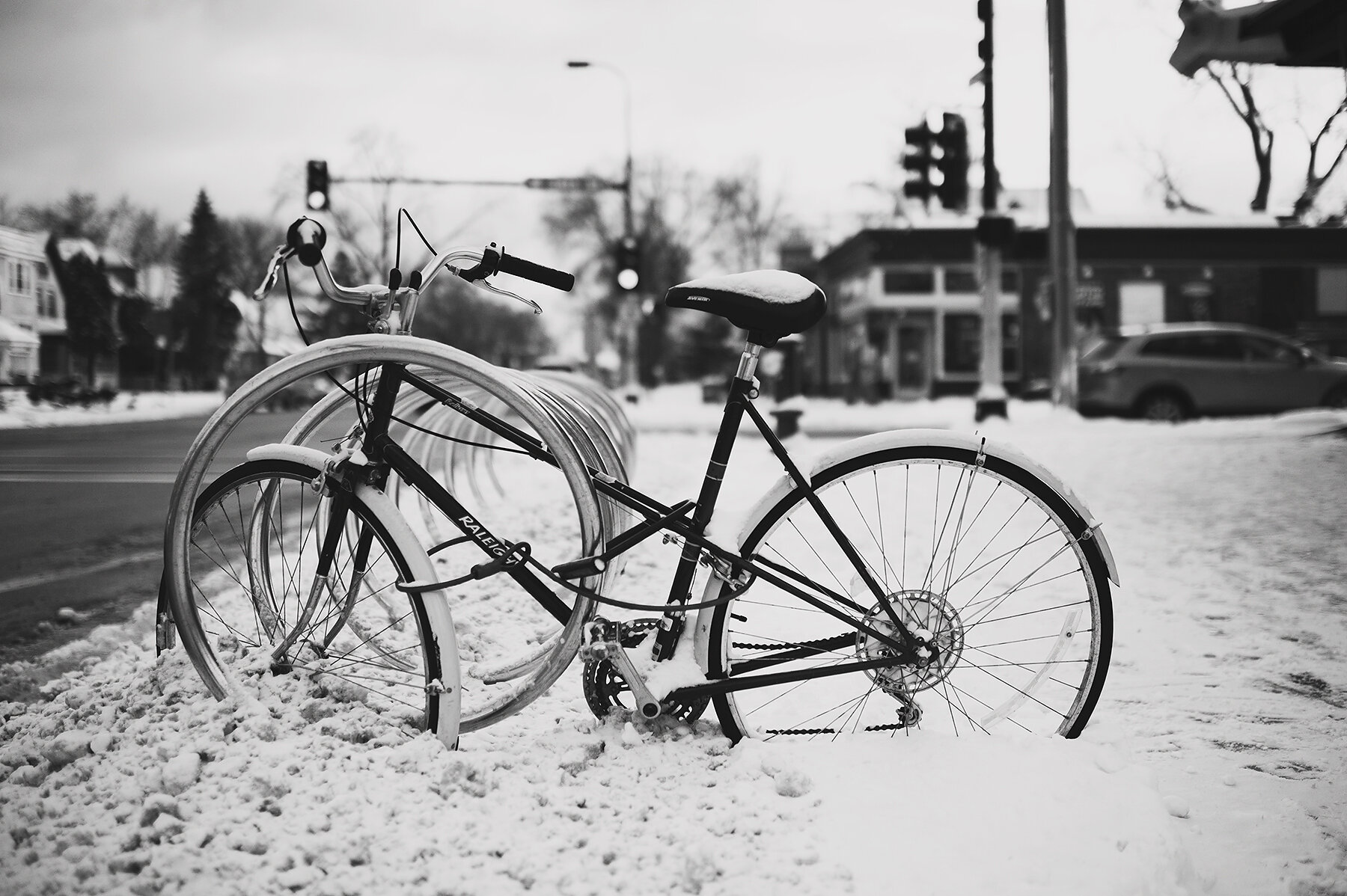 the snow has arrived!