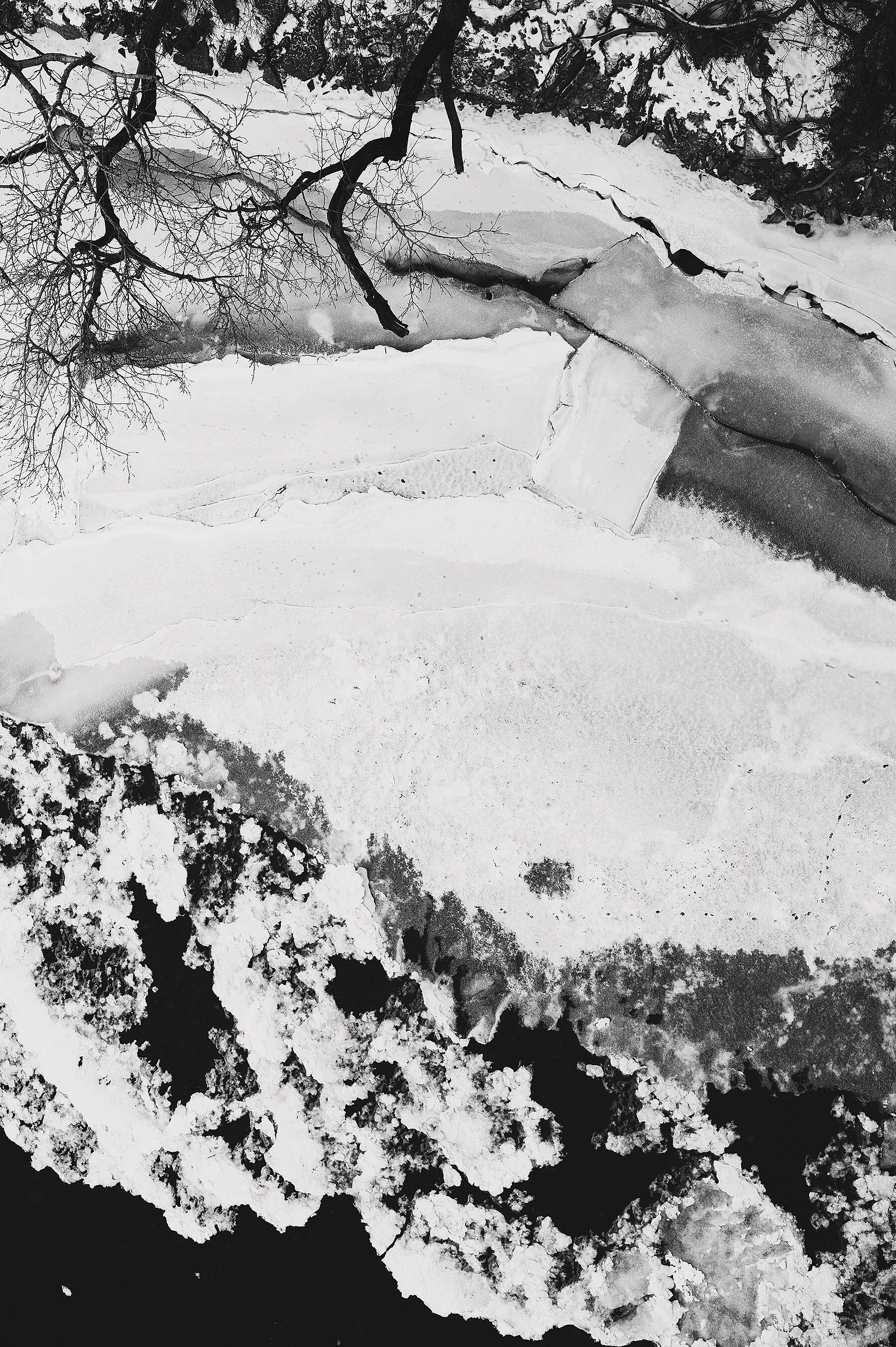 wonderland ~ riverbanks