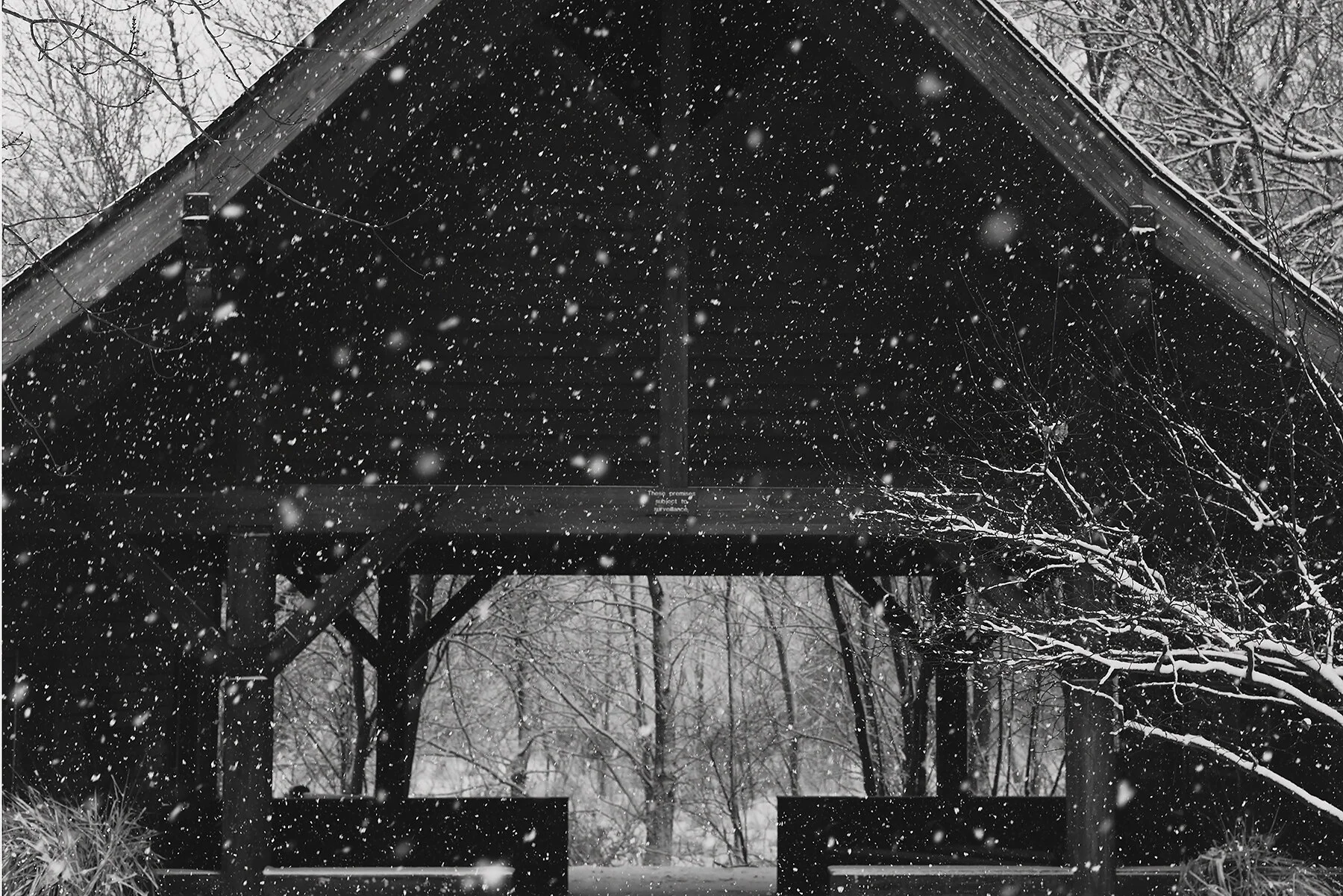 finally!  like a snow globe!!