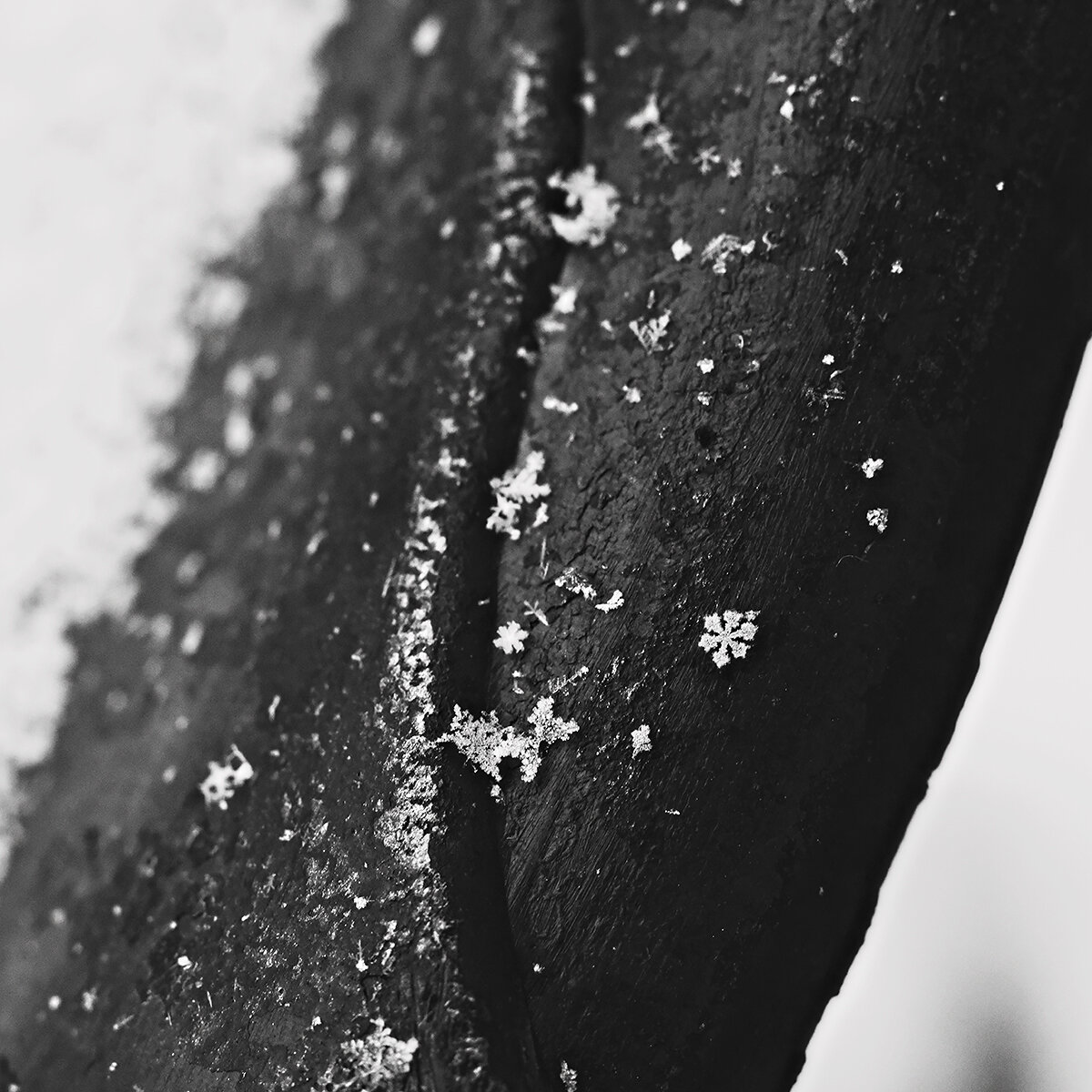 snow crystals