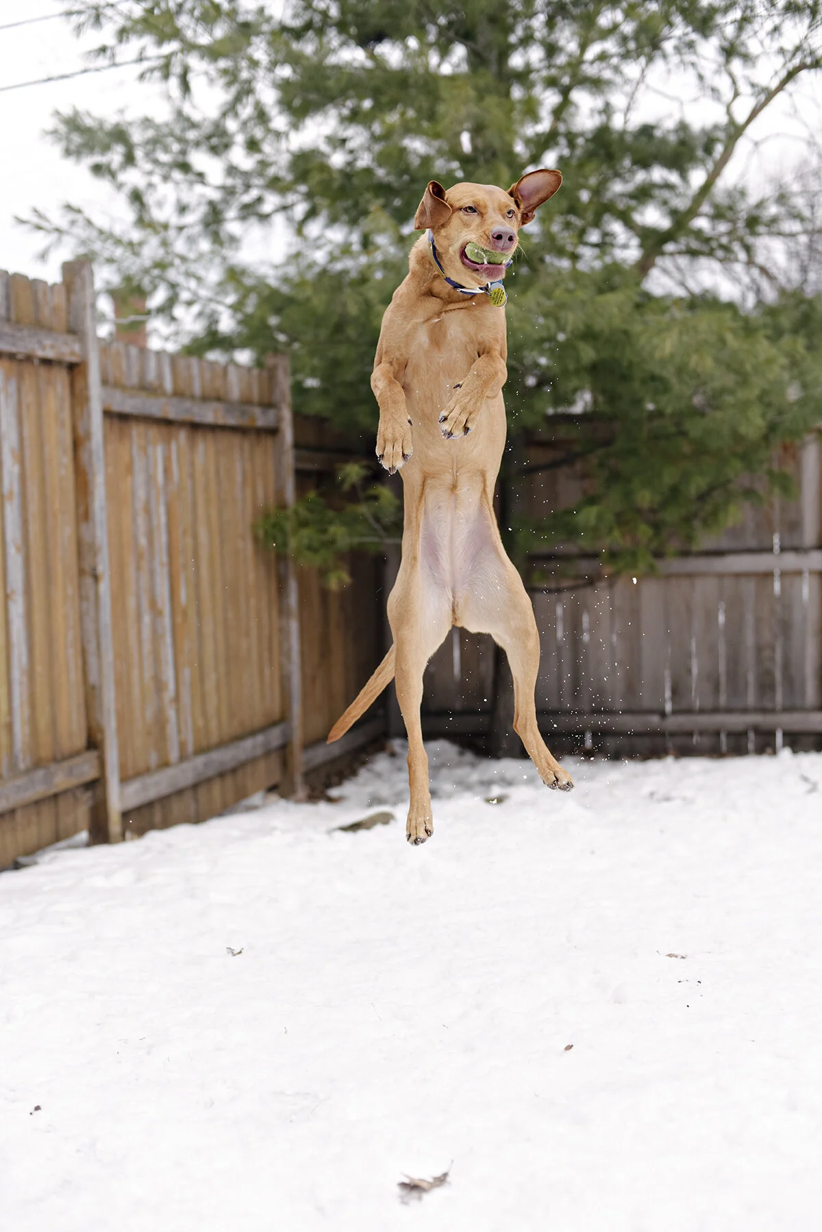 monday at the madhouse ~ biohazard edition