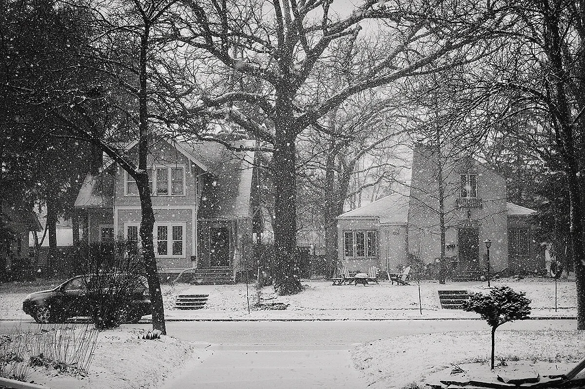 spring! winter! spring! winter!