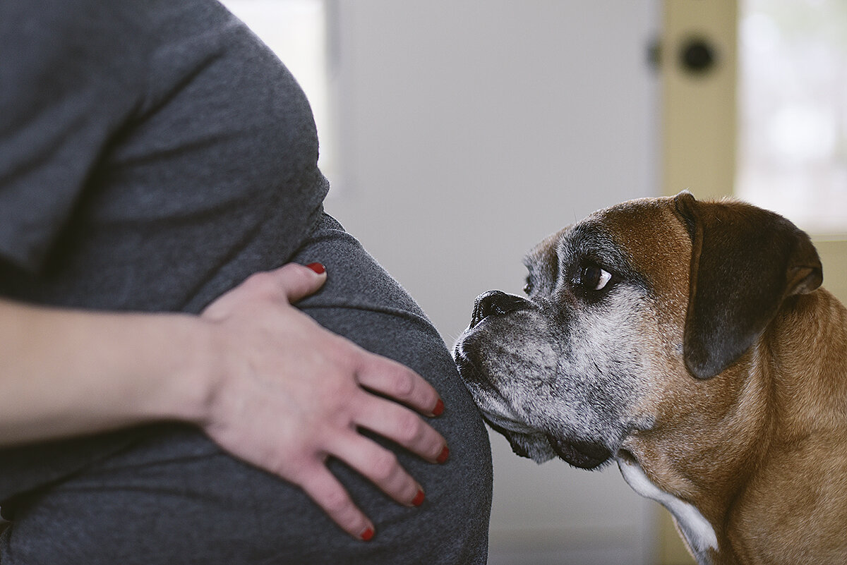 big brother to-be