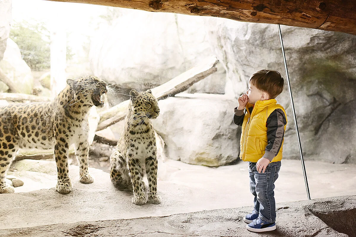 monday at the madhouse ~ what a glorious spring