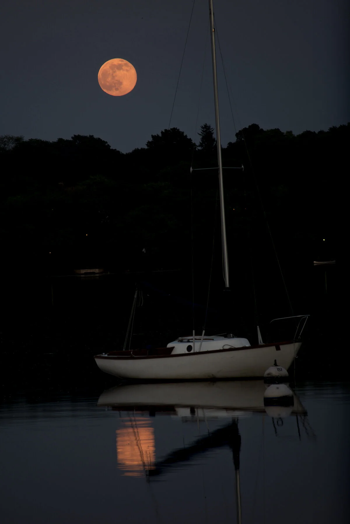 moonrise kingdom