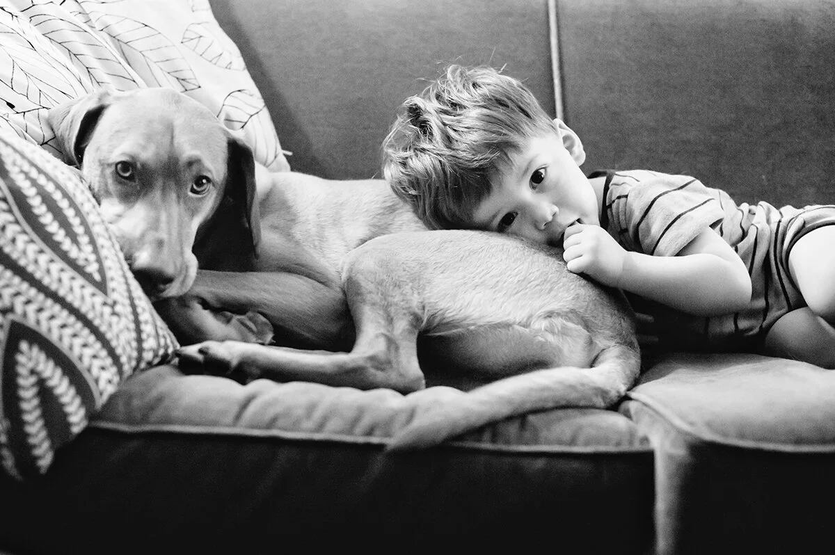 tuesday at the madhouse ~ family in town