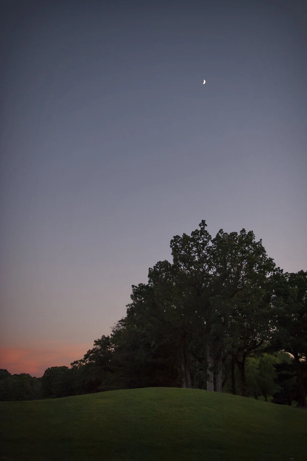 moonlight