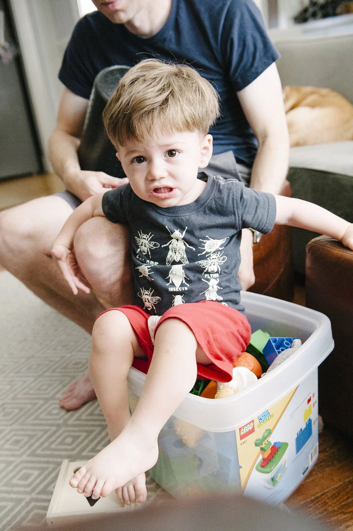 monday at the madhouse ~ ready for the holiday