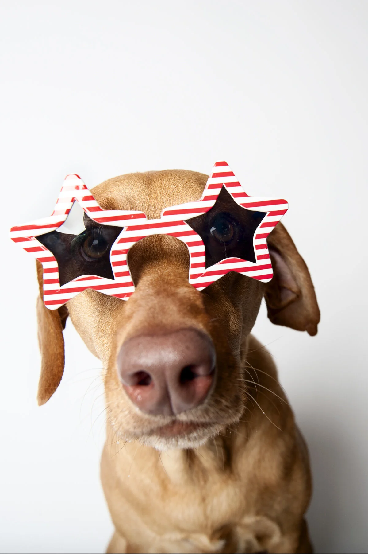 happy holiday weekend!