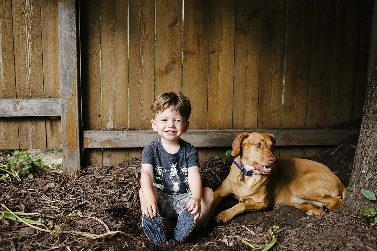 monday at the madhouse ~ dogs, beaches and bouncing on the bed