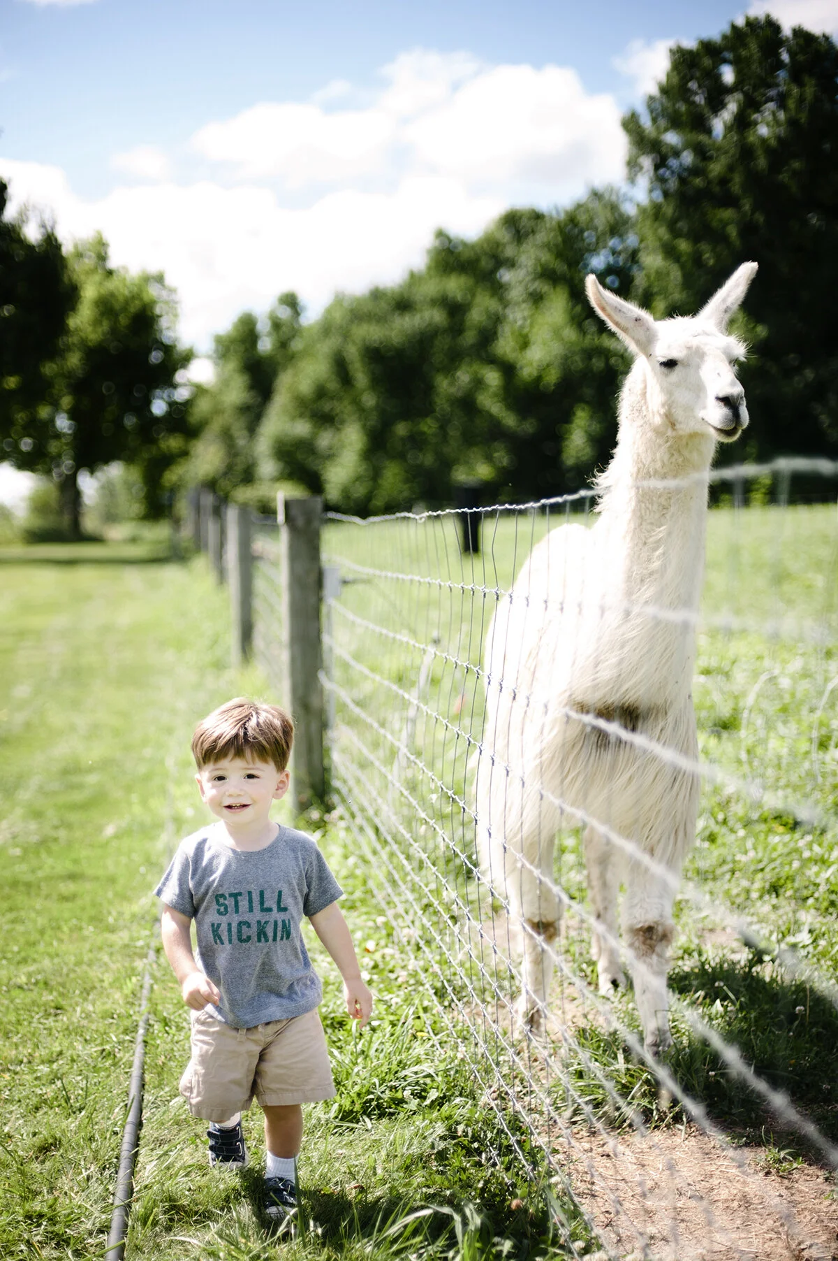 monday at the madhouse ~ stuffed full!