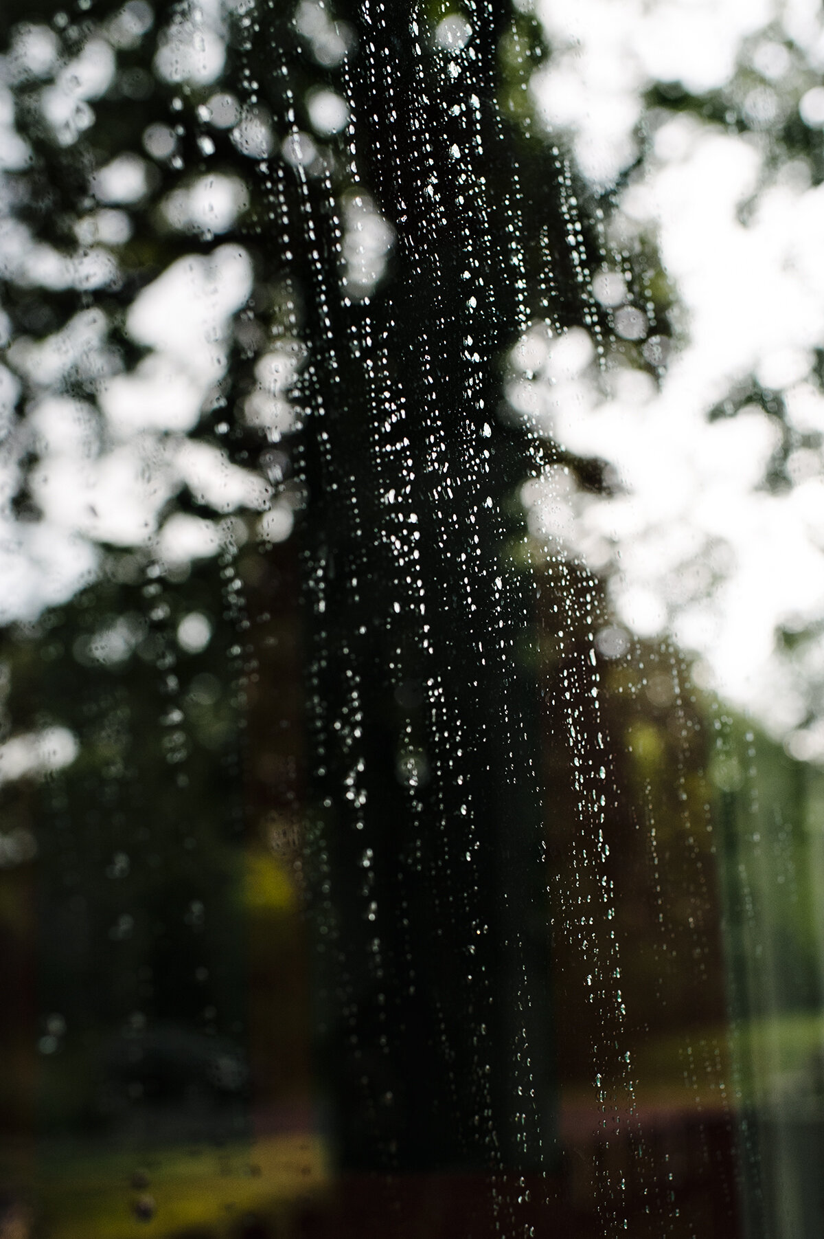 sun showers