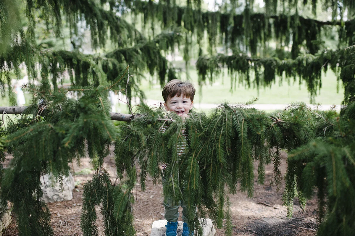 monday at the madhouse ~ final three