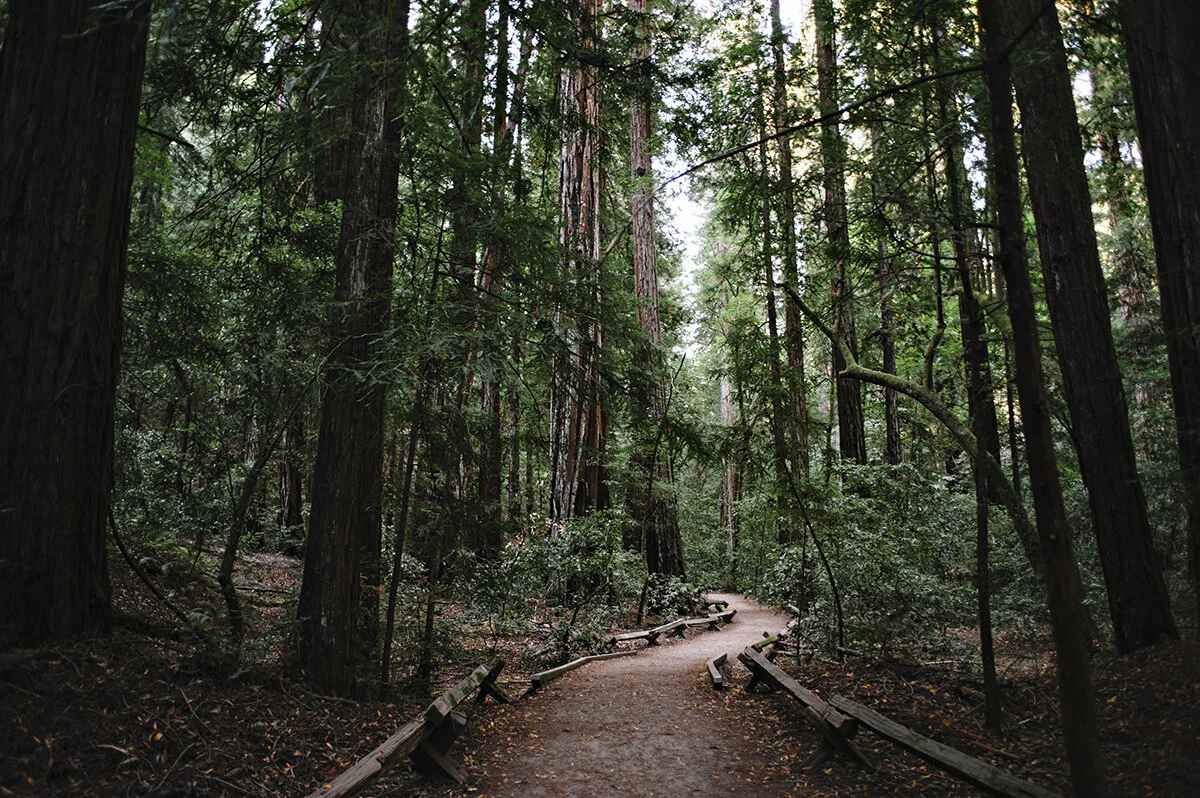 Monday at the madhouse ~ hello from the west coast