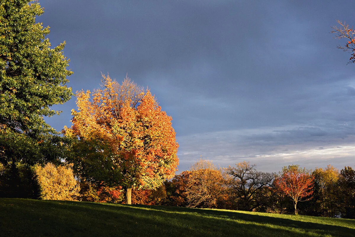 feels like fall