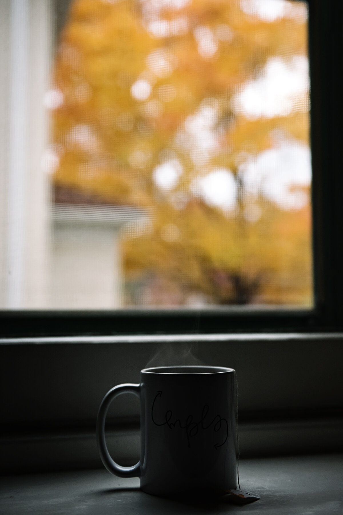 tea, fall color and time by the fireplace