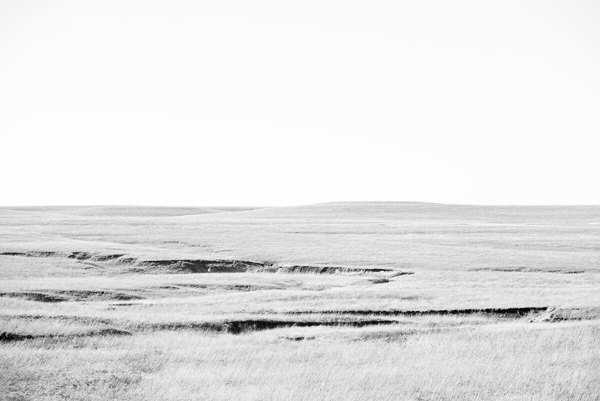 the great plains