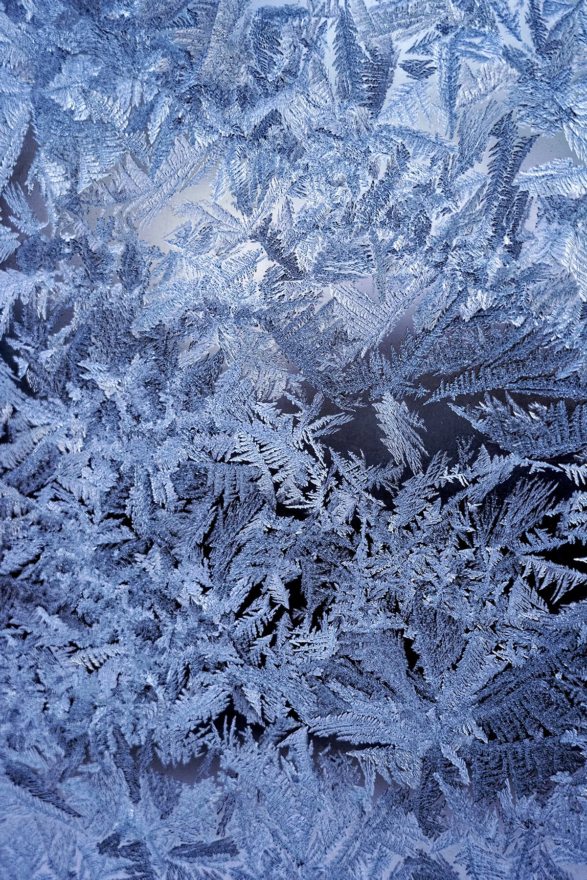 frozen