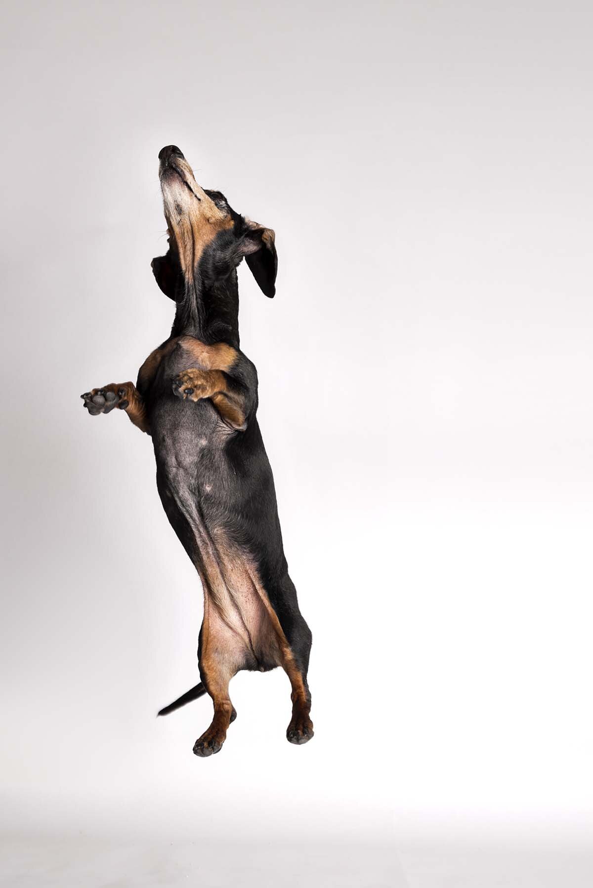 everybody jump!