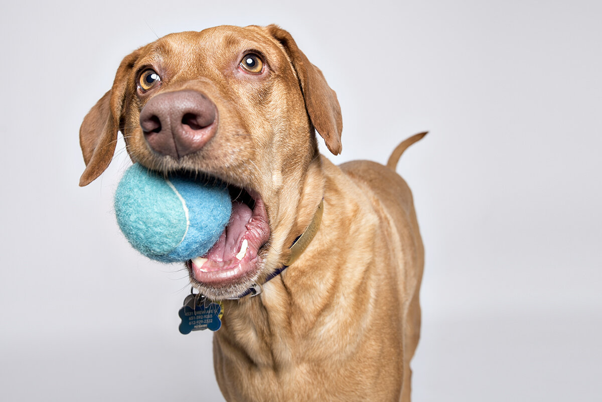 a girl and her ball