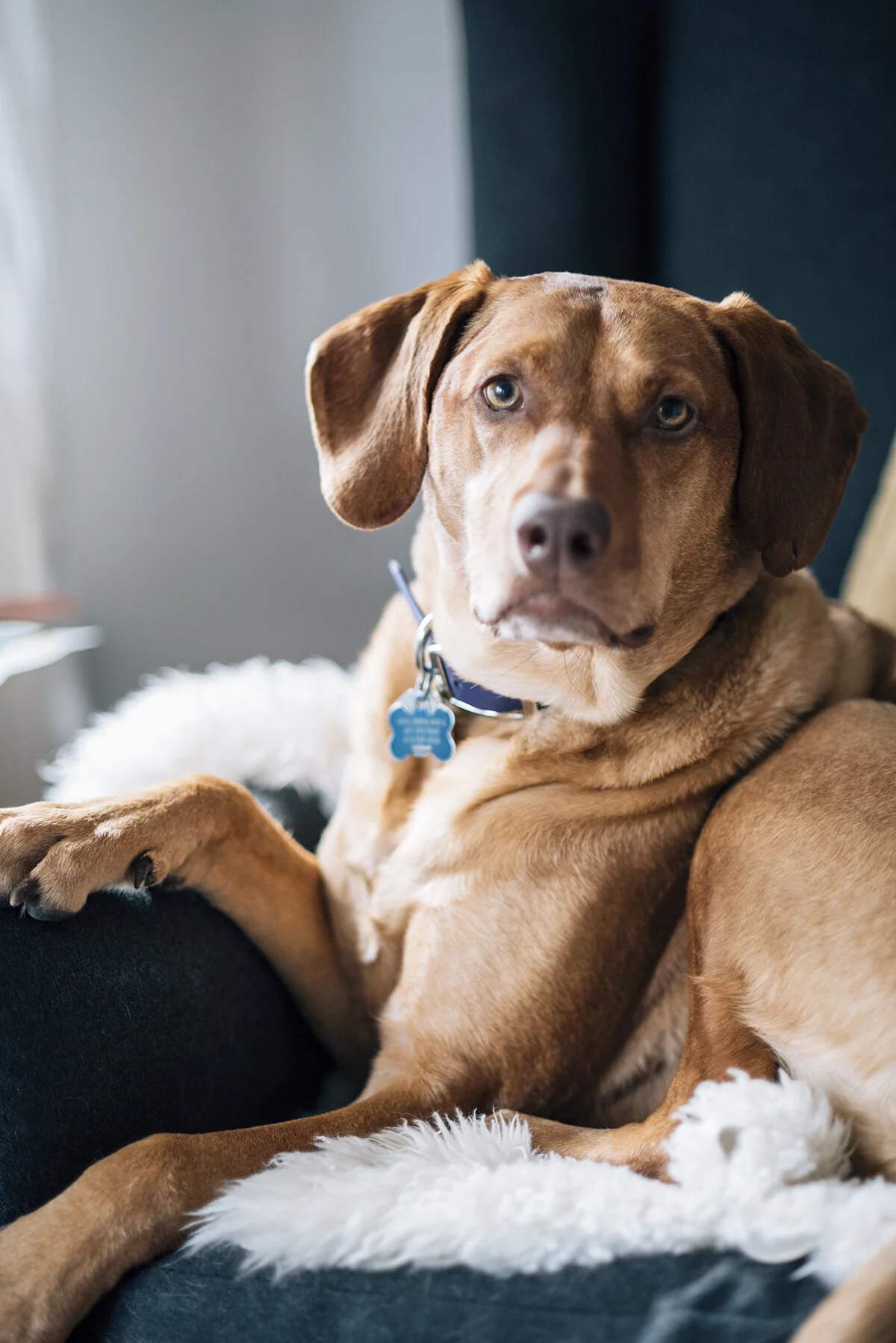 her highness will see you now