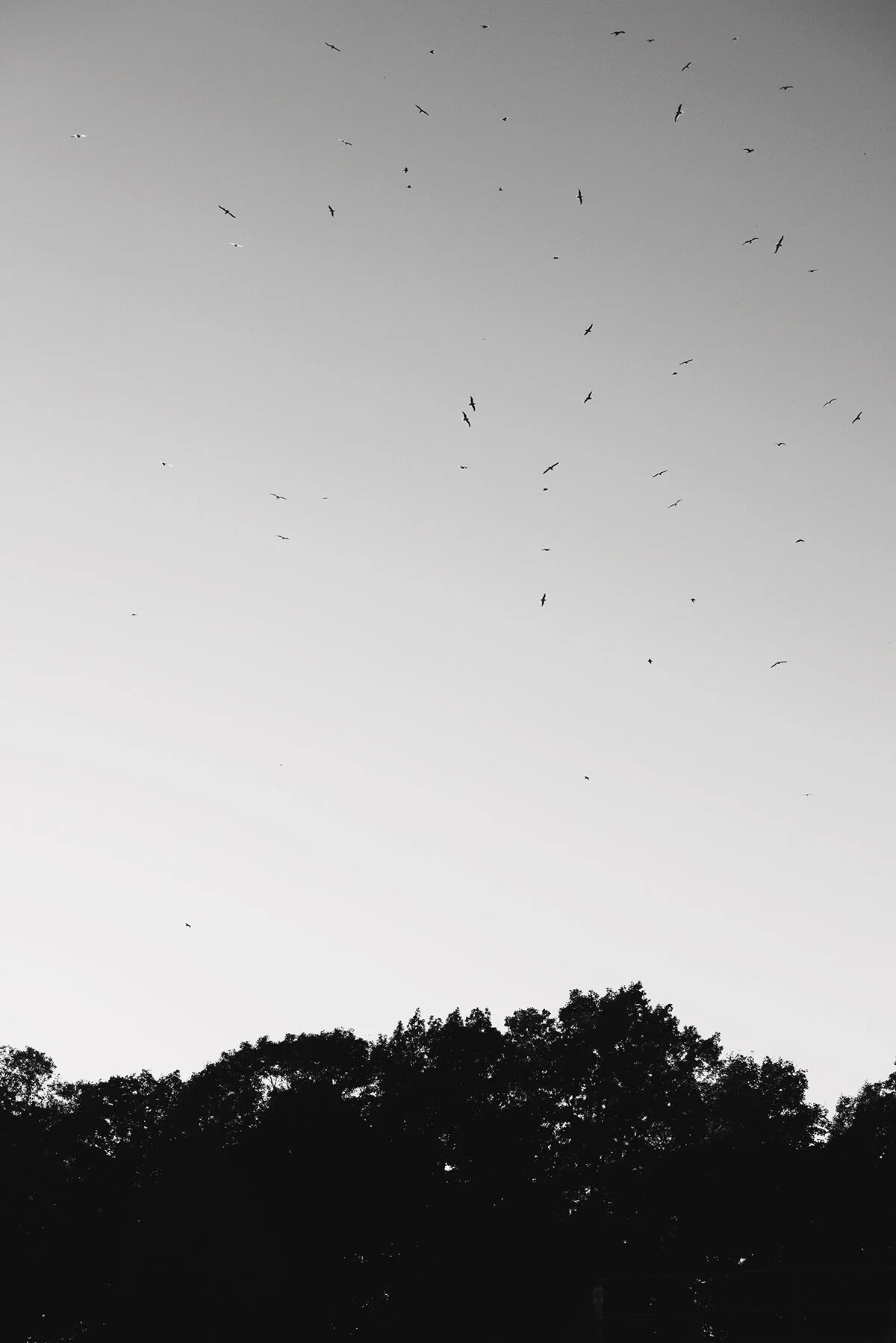evenings outside